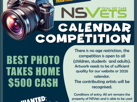 Calendar Competition