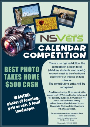 Calendar Competition