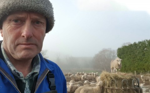 David and Barbara Carter - 760ha Sheep and Beef Finishing - Mandeville, Southland