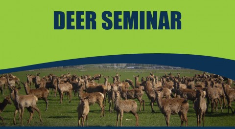 Deer Seminar