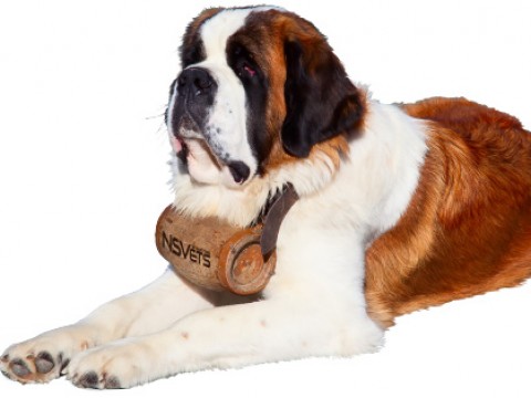 June is Arthritis Month