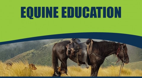 Equine Seminar