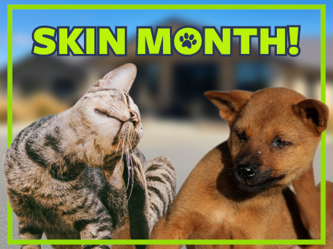 January is itchy skin month
