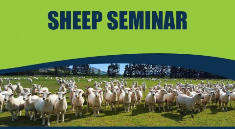 Sheep Seminar