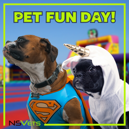 Pet Fun Day