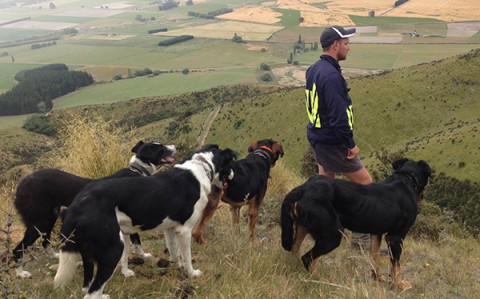 Matt Baldwin - Farm Manager (1400ha sheep and bull beef) - Five Rivers, Southland