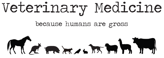 Veterinary medicine banner