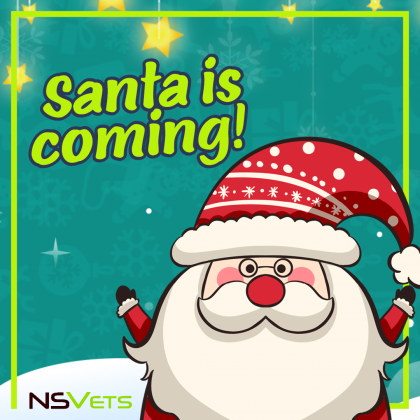 Santa is coming to NSVets