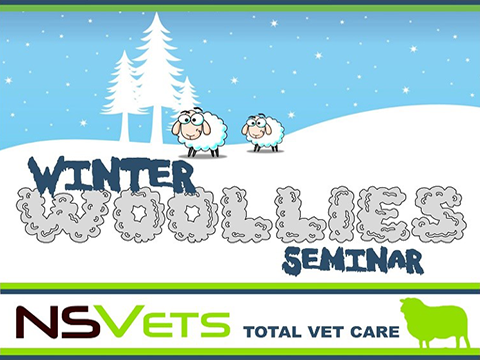 Winter Woollies Seminar