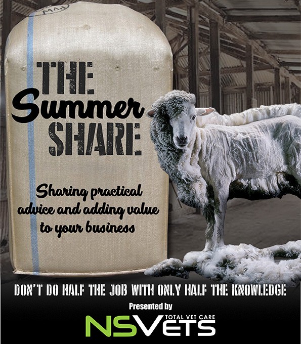 The Summer Share